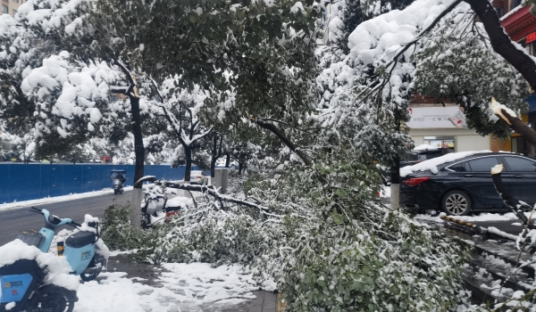 抗擊冰雪，他們在行動